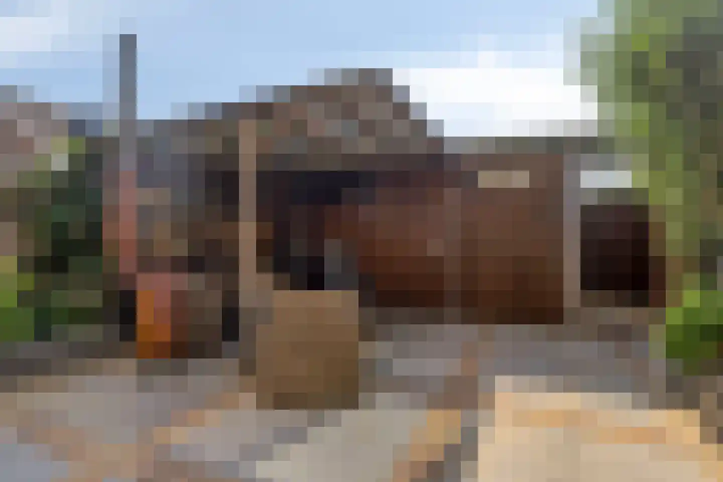 Merelhoven 397 Capelle aan den IJssel thumbnail 35
