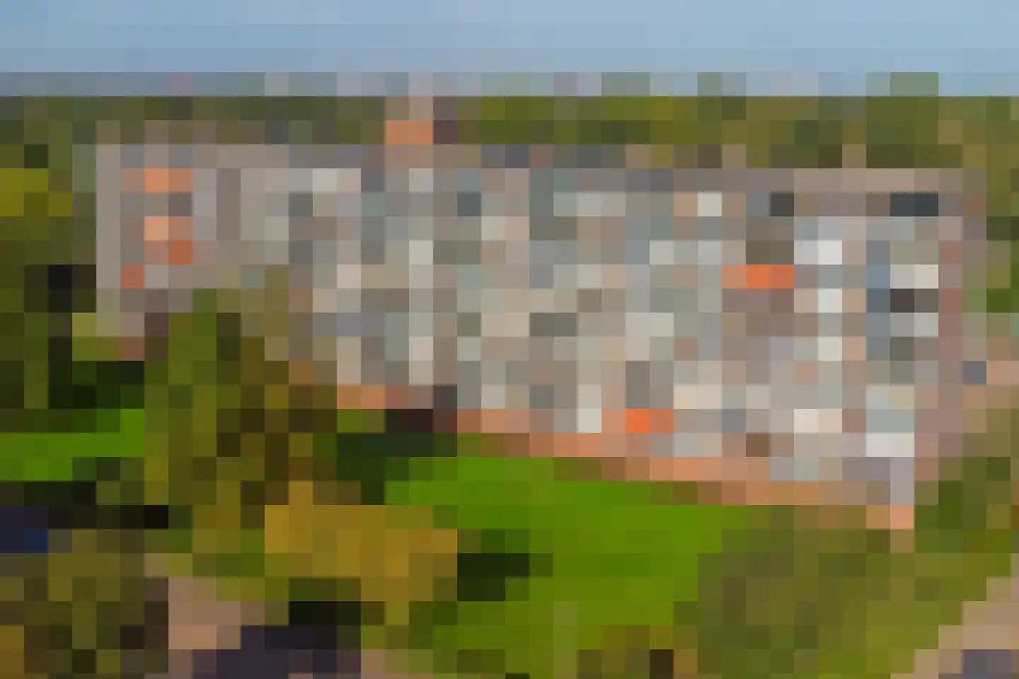 Merelhoven 75 Capelle aan den IJssel thumbnail 39