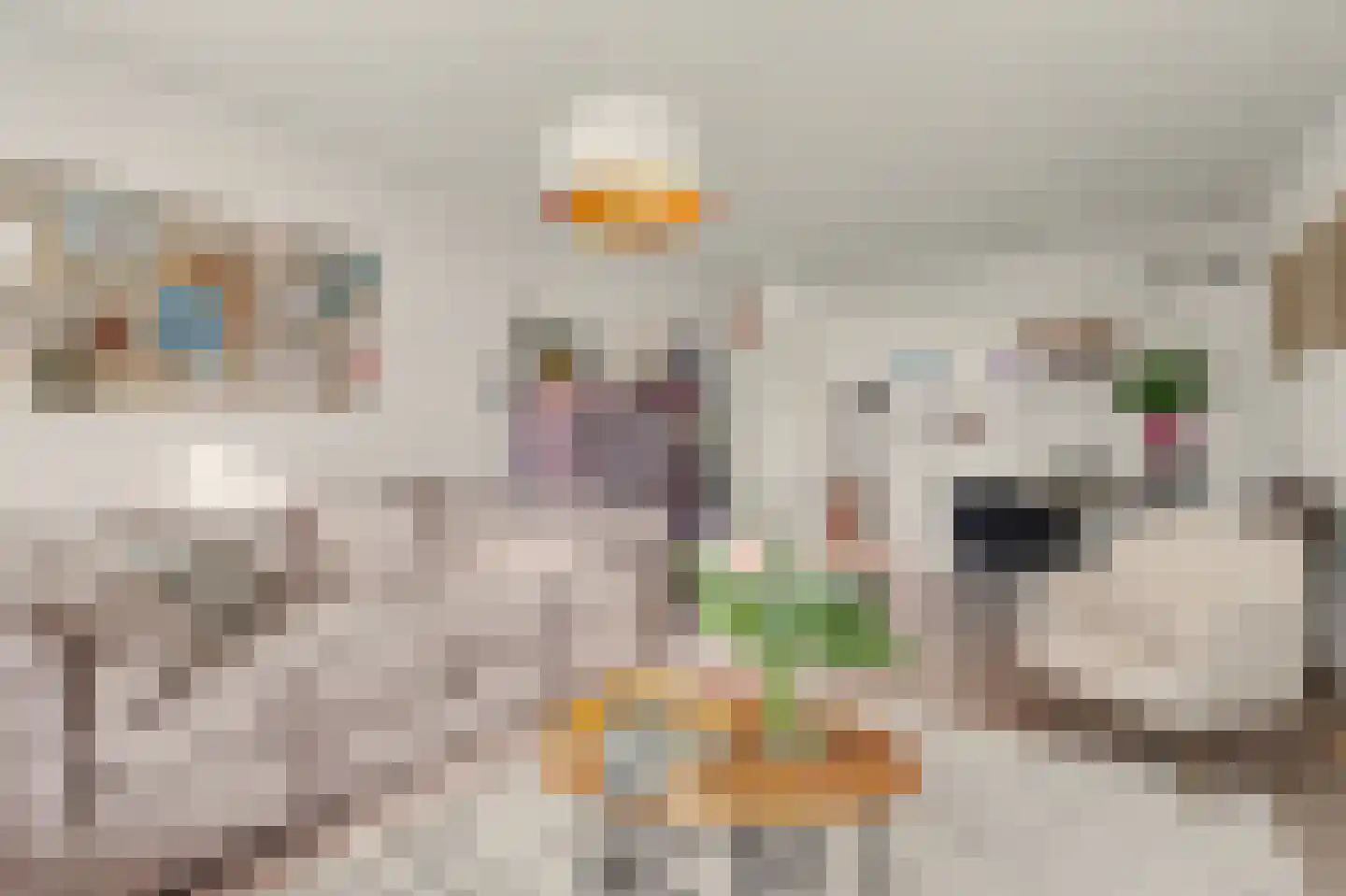 Merelhoven 75 Capelle aan den IJssel thumbnail 5