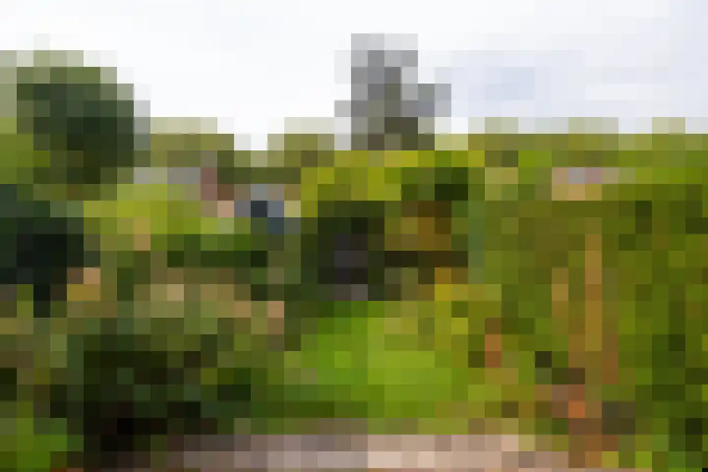 Merellaan 11 Rotterdam thumbnail 30