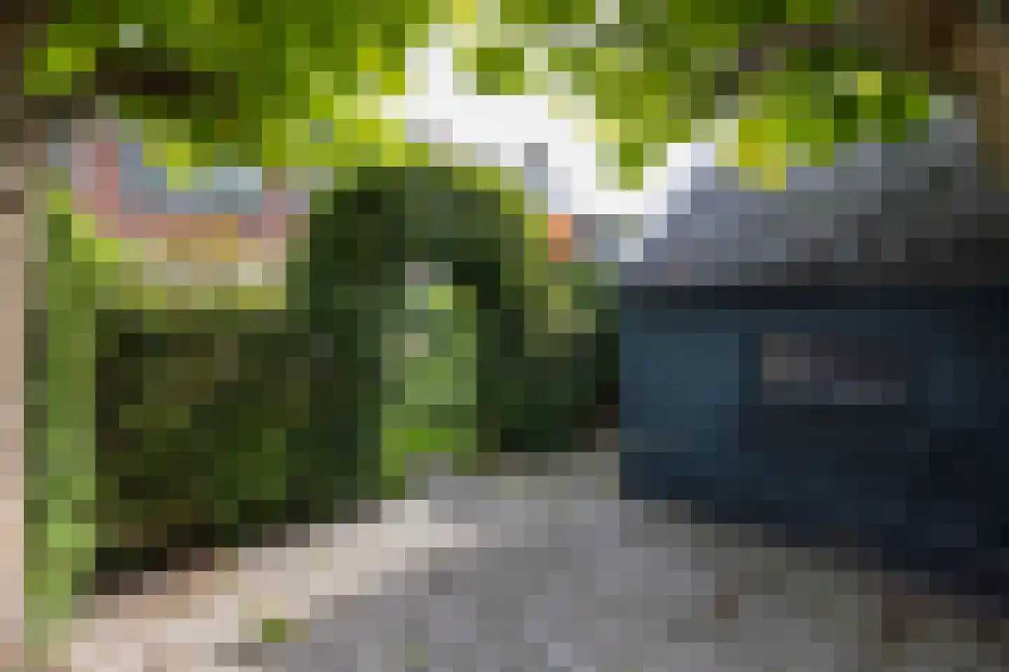 Merellaan 11 Rotterdam thumbnail 31