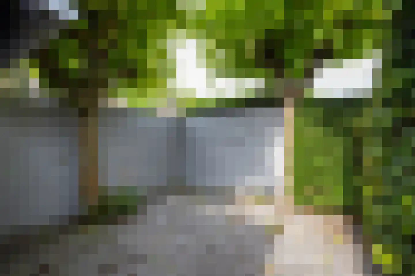 Merellaan 11 Rotterdam thumbnail 32