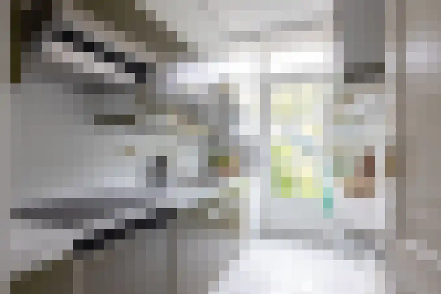 Merellaan 11 Rotterdam thumbnail 9