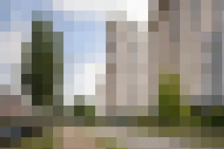 Merellaan 1161 Maassluis thumbnail 31