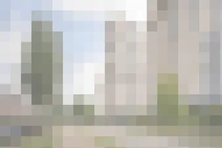 Merellaan 1161 Maassluis thumbnail 32