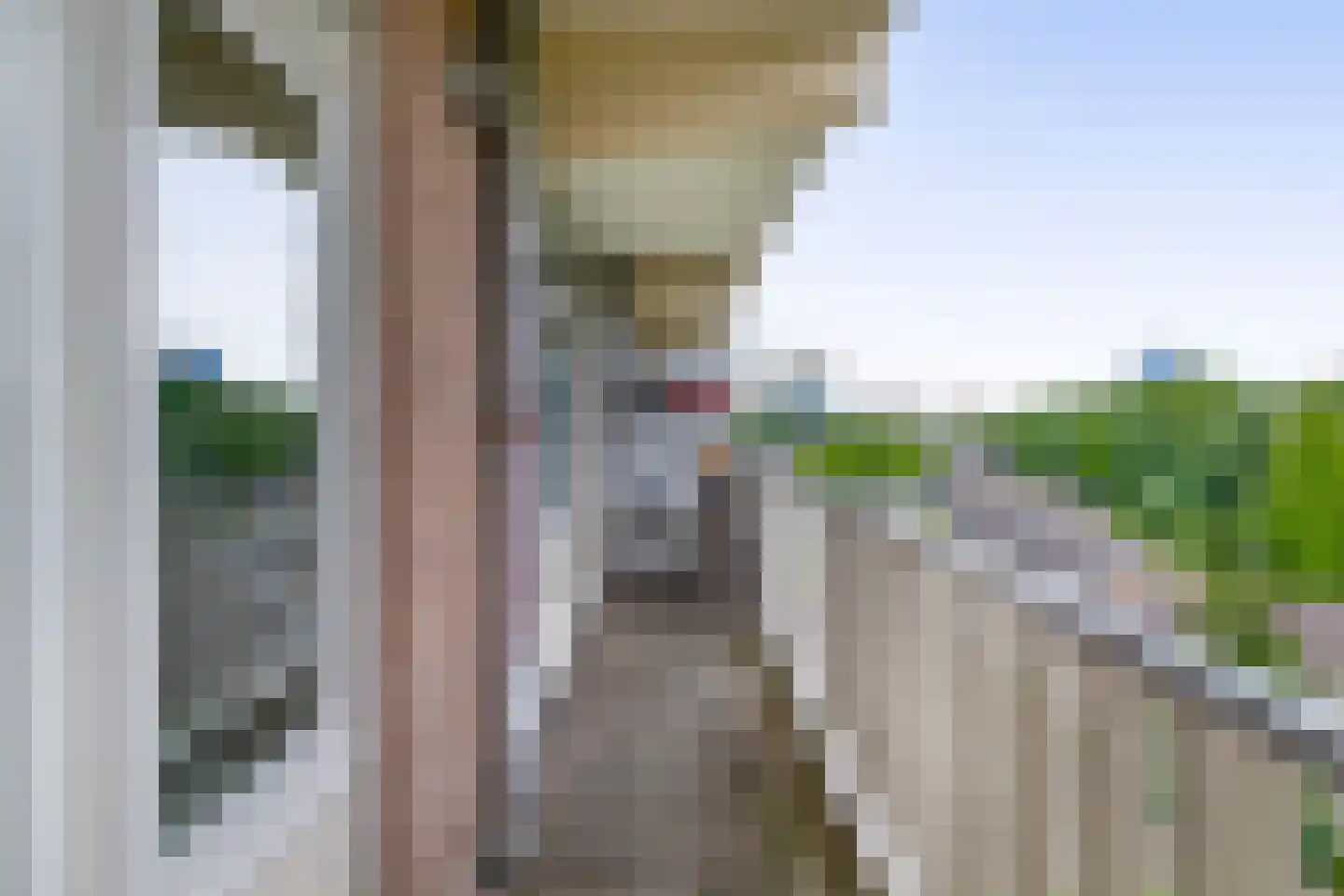 Merellaan 118 Capelle aan den IJssel thumbnail 4