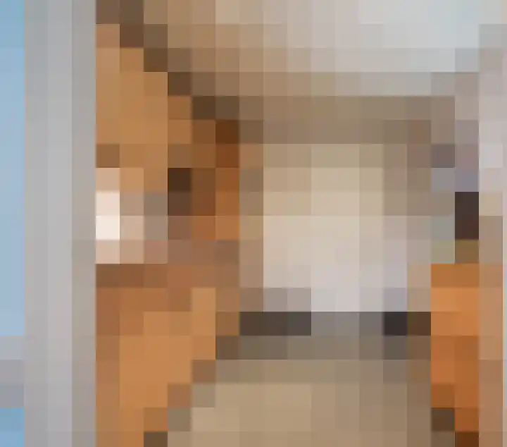Merellaan 12 Boekel thumbnail 16