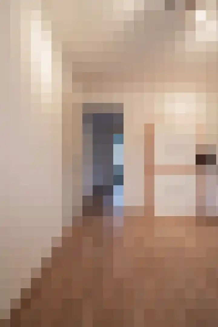 Merellaan 12 Boekel thumbnail 31