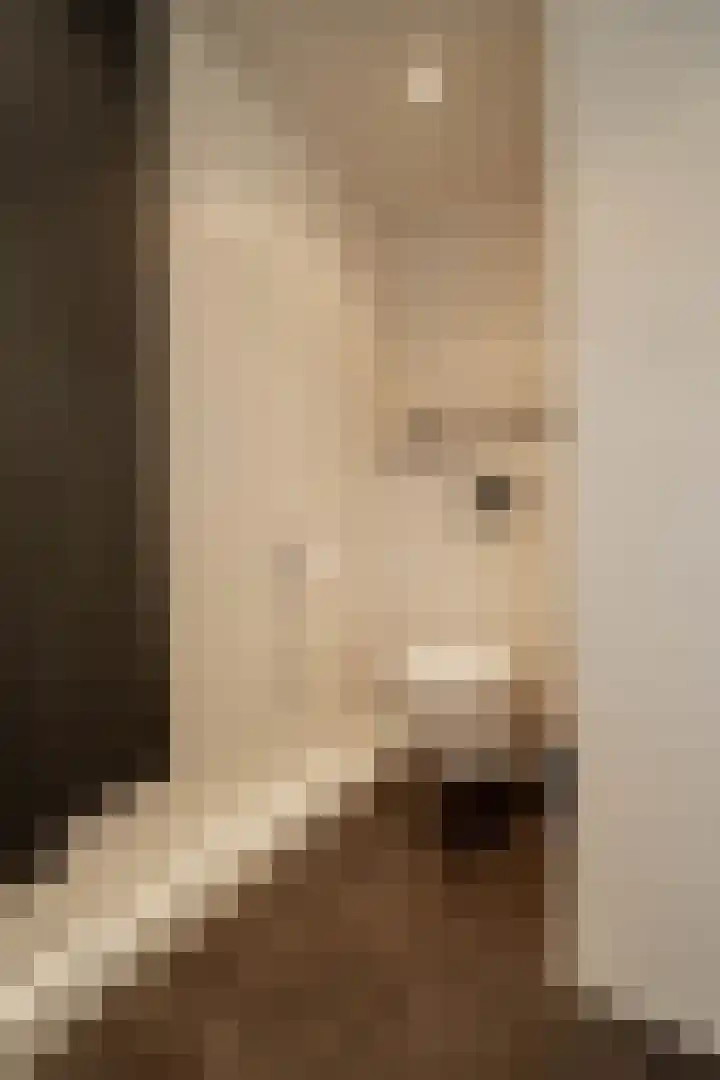 Merellaan 12 Boekel thumbnail 36