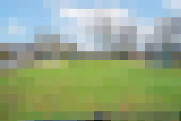 Merellaan 12 Boekel thumbnail 57