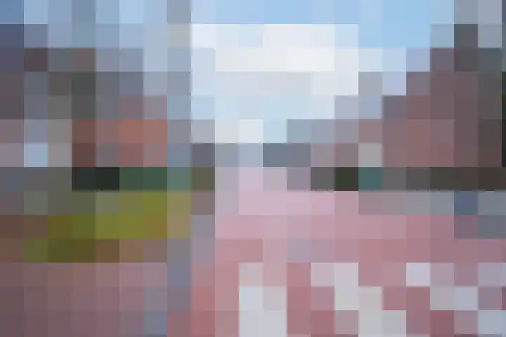 Merellaan 12 Boekel thumbnail 59