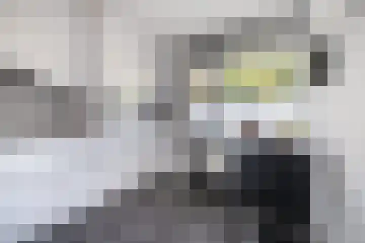Merellaan 12 Capelle aan den IJssel thumbnail 10