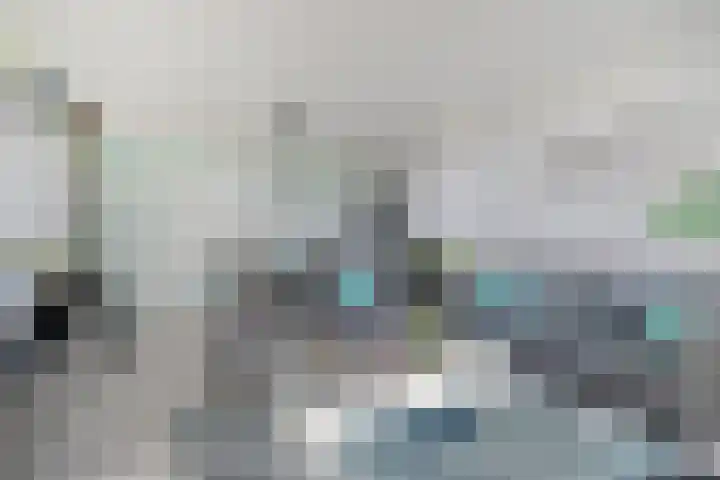 Merellaan 12 Capelle aan den IJssel thumbnail 15