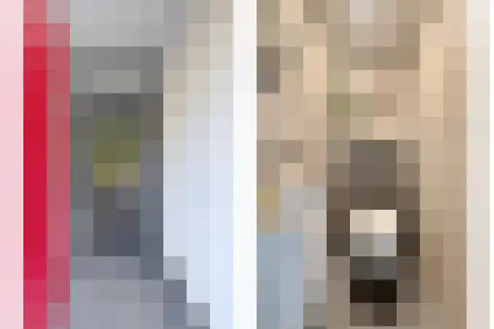 Merellaan 12 Capelle aan den IJssel thumbnail 17