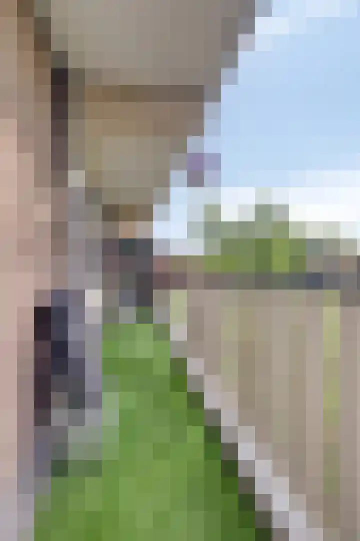 Merellaan 12 Capelle aan den IJssel thumbnail 19