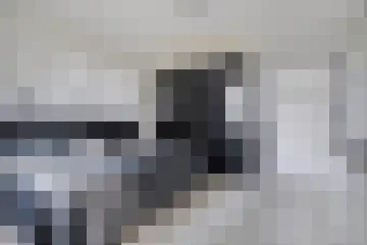 Merellaan 12 Capelle aan den IJssel thumbnail 21