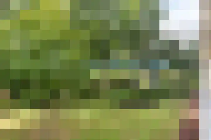Merellaan 12 Capelle aan den IJssel thumbnail 24