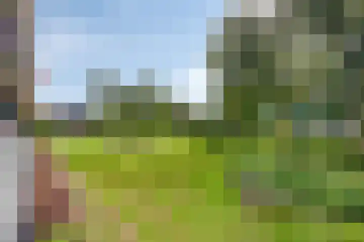 Merellaan 12 Capelle aan den IJssel thumbnail 25