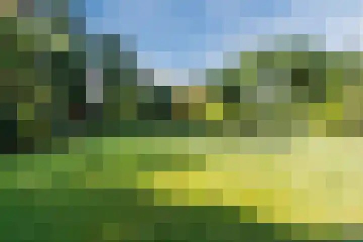 Merellaan 13 Malden thumbnail 59