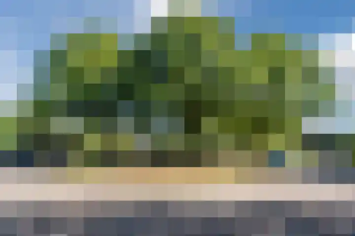 Merellaan 13 Malden thumbnail 65