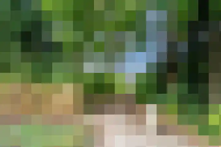 Merellaan 13 Malden thumbnail 66
