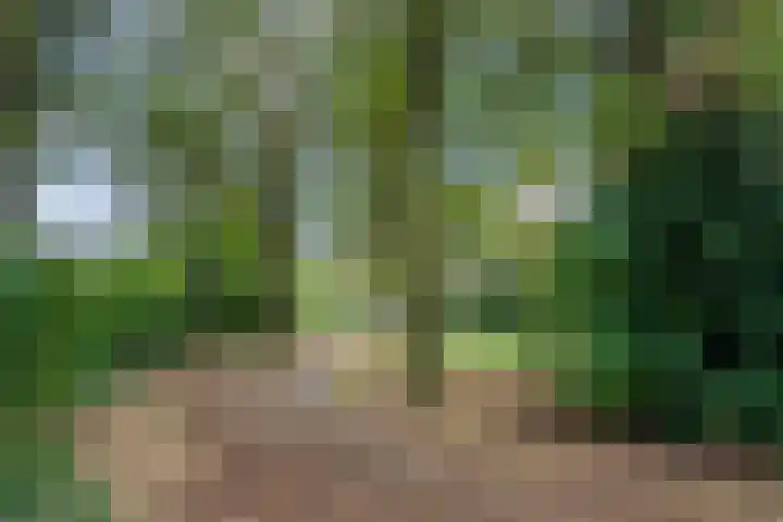Merellaan 13 Malden thumbnail 68