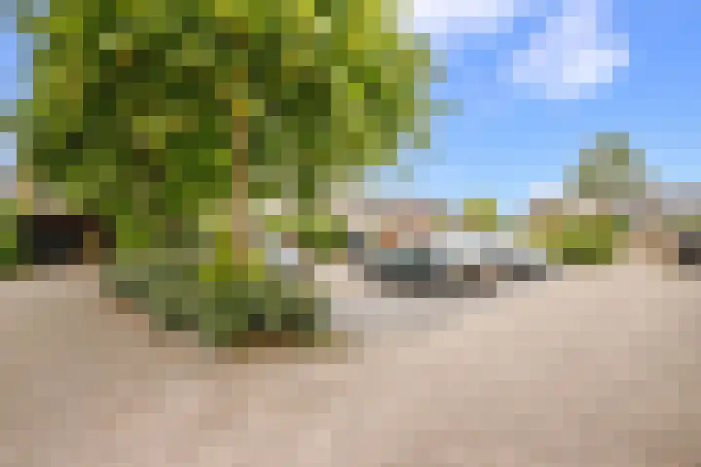 Merellaan 165 Capelle aan den IJssel thumbnail 31