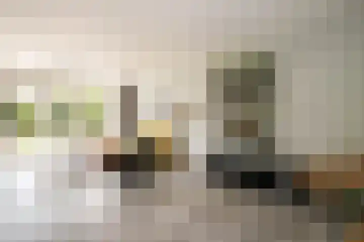 Merellaan 17 Schoonhoven thumbnail 10