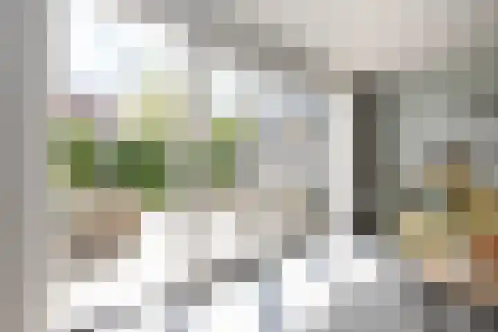Merellaan 17 Schoonhoven thumbnail 13