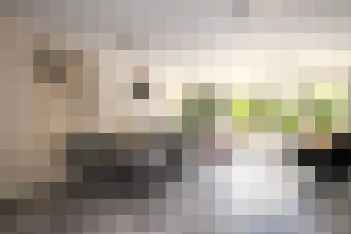 Merellaan 17 Schoonhoven thumbnail 16