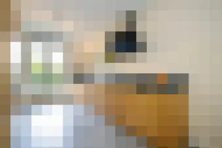 Merellaan 17 Schoonhoven thumbnail 17
