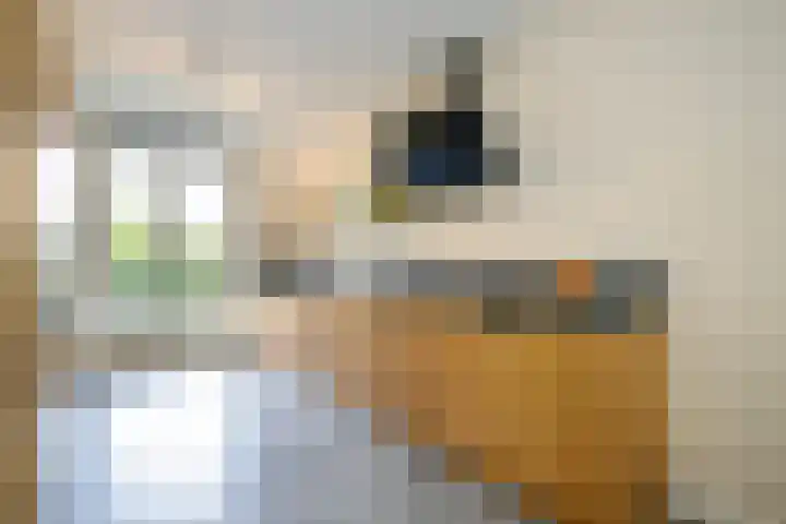 Merellaan 17 Schoonhoven thumbnail 19