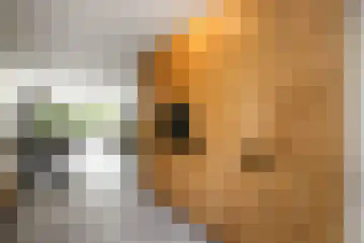 Merellaan 17 Schoonhoven thumbnail 22