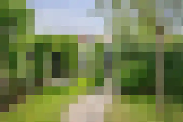 Merellaan 17 Schoonhoven thumbnail 35