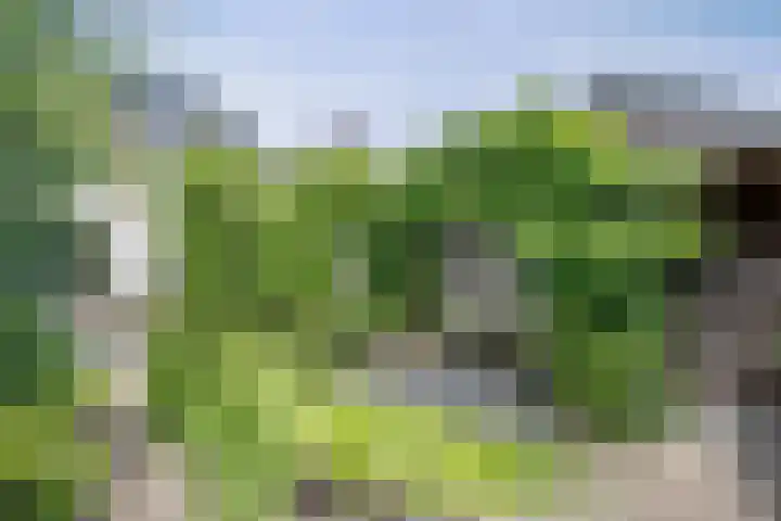 Merellaan 17 Schoonhoven thumbnail 38