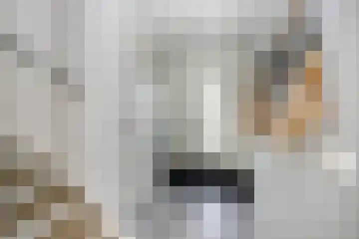 Merellaan 17 Schoonhoven thumbnail 7