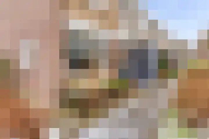 Merellaan 174 Capelle aan den IJssel thumbnail 6