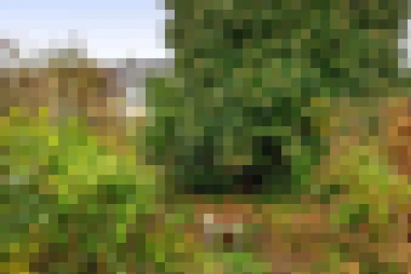 Merellaan 183 Capelle aan den IJssel thumbnail 30