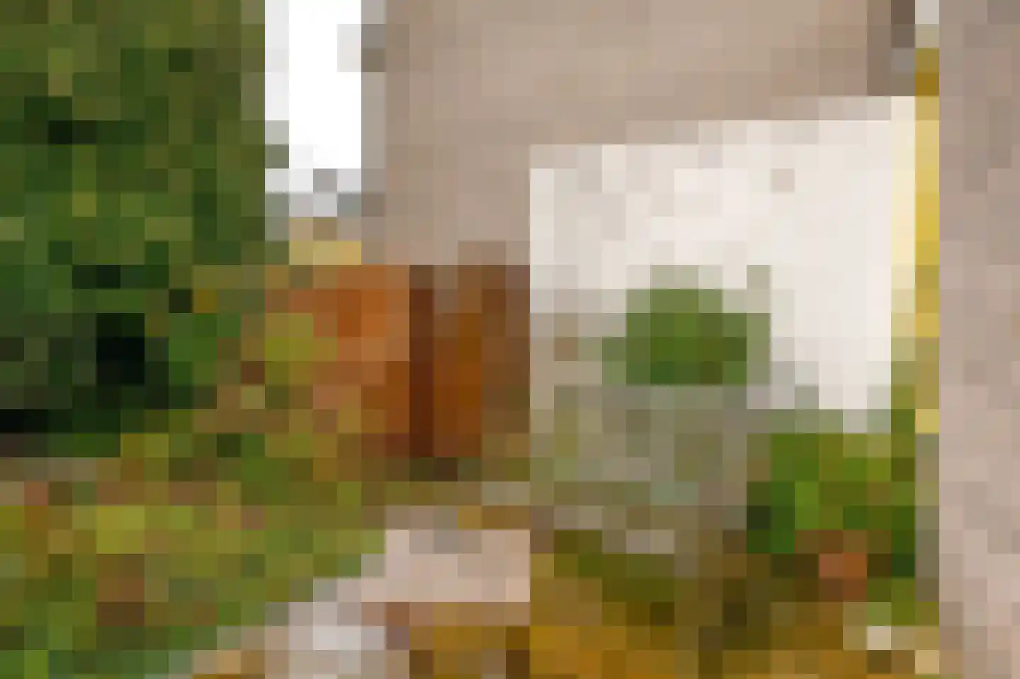 Merellaan 183 Capelle aan den IJssel thumbnail 32