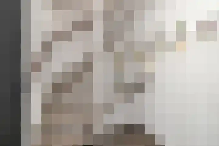 Merellaan 19 Anna Paulowna thumbnail 27