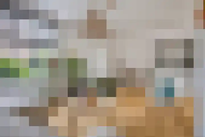 Merellaan 194 Capelle aan den IJssel thumbnail 13