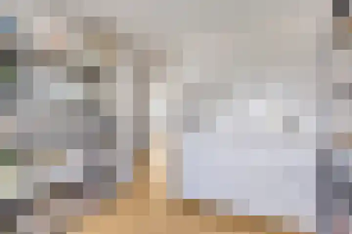 Merellaan 194 Capelle aan den IJssel thumbnail 31