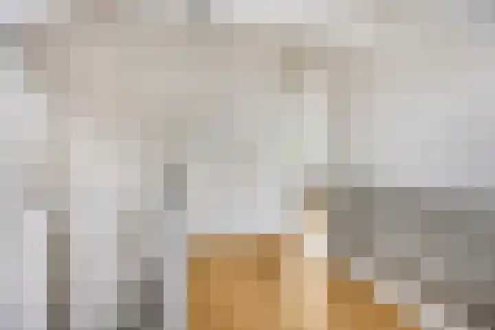 Merellaan 194 Capelle aan den IJssel thumbnail 33