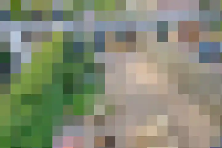 Merellaan 194 Capelle aan den IJssel thumbnail 43