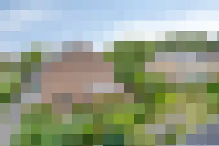 Merellaan 194 Capelle aan den IJssel thumbnail 45