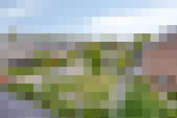 Merellaan 194 Capelle aan den IJssel thumbnail 46