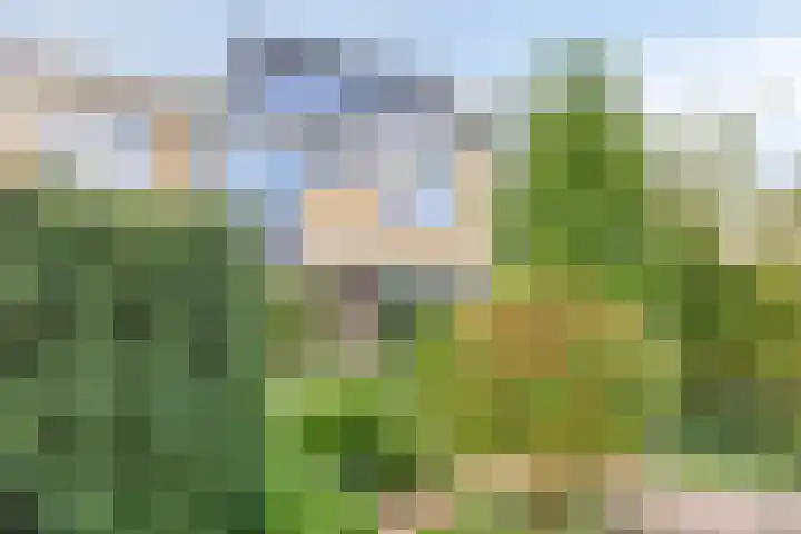 Merellaan 194 Capelle aan den IJssel thumbnail 5