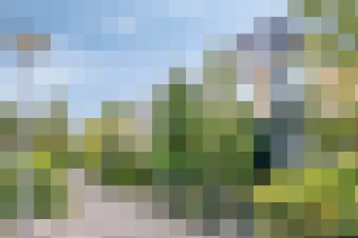 Merellaan 194 Capelle aan den IJssel thumbnail 6