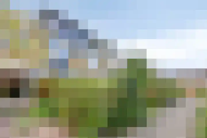 Merellaan 194 Capelle aan den IJssel thumbnail 7