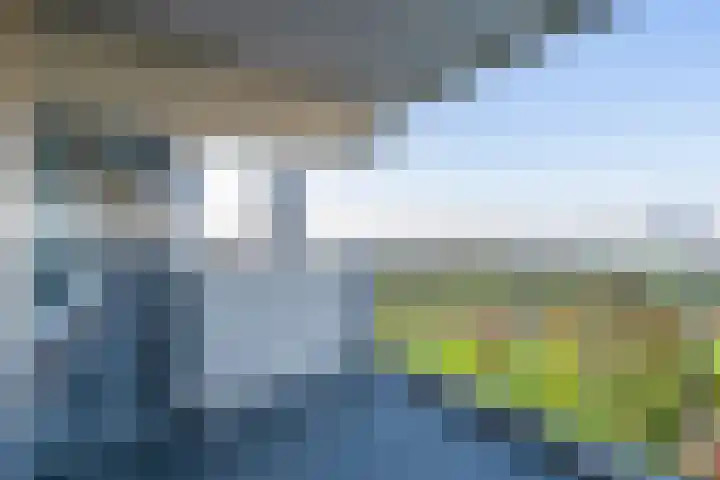Merellaan 201 Maassluis thumbnail 36